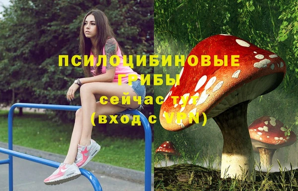 мет Балахна