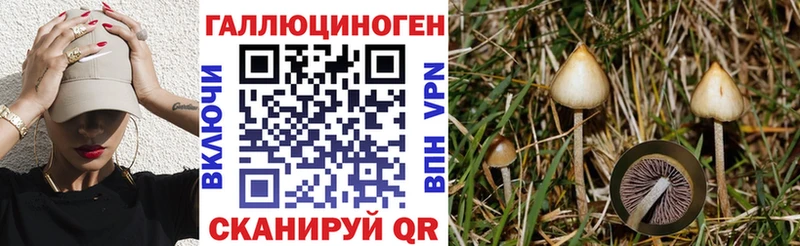 дарнет шоп  Балабаново  Псилоцибиновые грибы мухоморы 
